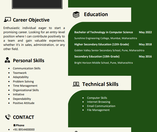 Fresher Resume Template