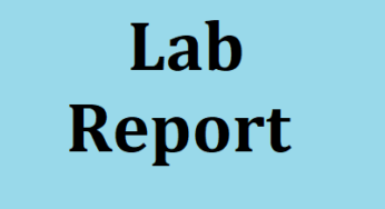 Lab Report Template