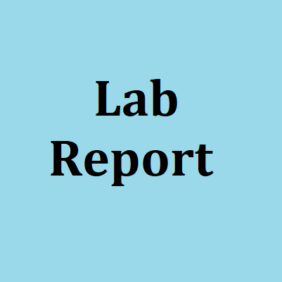 Lab Report Template